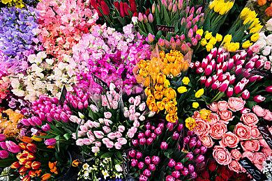 《彩虹六号：异种》发售后免费更新内容公布